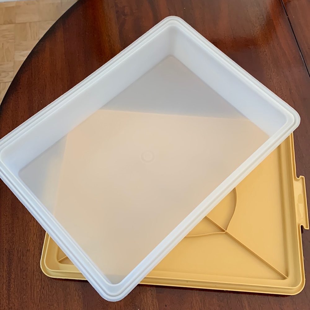 Tupperware 14 x 9